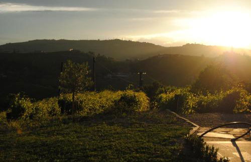 Agriturismo i Grappoli - Foto 109