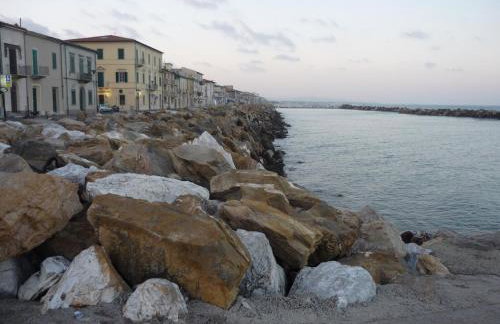 la coccinella - Photo 30