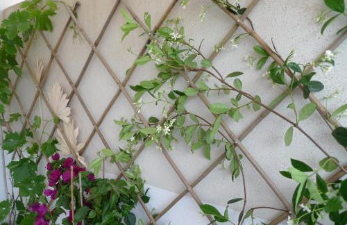 Nidu Accogliente in Balagna - Foto 35