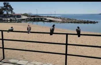 URBAN KALAMITSA BEACH APPARTMENT - Foto 46