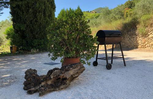 Mas provençal La Serallère au coeur des oliviers - Foto 18