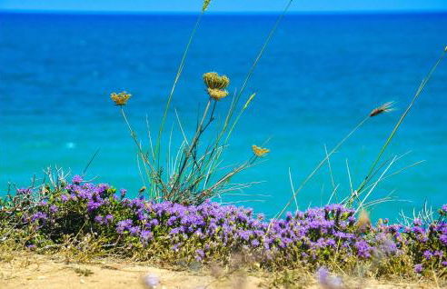 2 Bedroom Amazing Home In Vitigliano - Foto 36