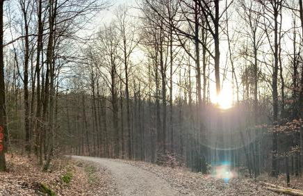 NEU Feinzeit Chalet mit privater Sauna - Foto 43