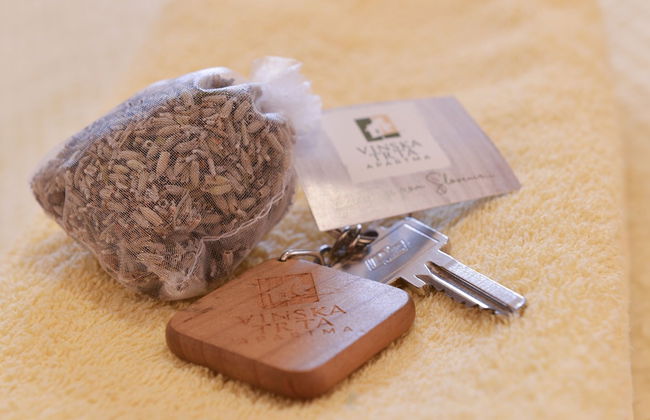 Apartments Vinska Trta - Photo 47