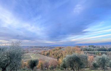 LA COLLINA DEI SAPORI Montepulciano - Photo 25