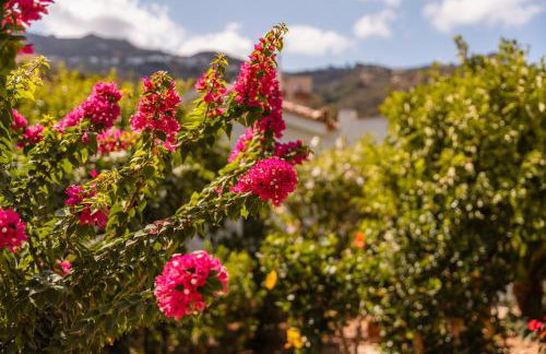 Villa Stefanotis - Foto 7