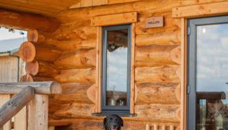 Willow - Tedstone Log Cabins - Foto 5