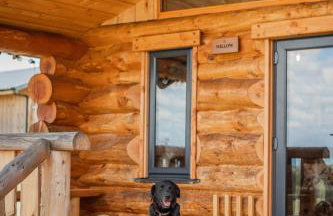 Willow - Tedstone Log Cabins - Foto 5