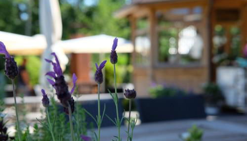 Flößer-Heimat - ruhige Lage inmitten der Natur - Foto 4