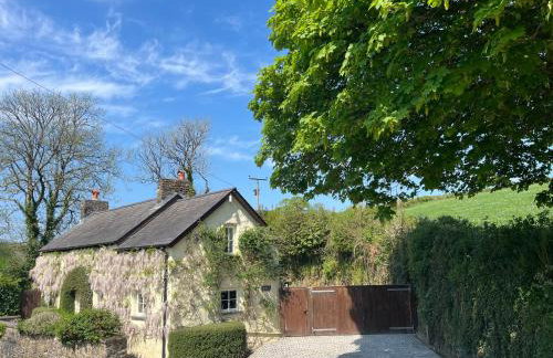 Penrhiw Cottage - Foto 1