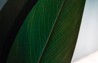 Dein Zuhause in Passau, Modern, Zentral, Parkplatz, Küche, Terasse - Foto 13