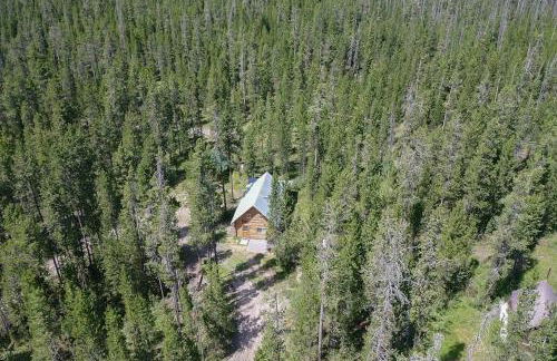 Hooter Hollow by KABINO Fire Pit Big Driveway SmartTV Grill WiFi - Foto 34