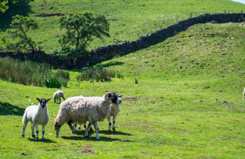 2 Bed in Low Row oc-ds1010 - Foto 33