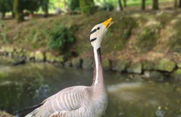 Agroturismo Anziola - Foto 35