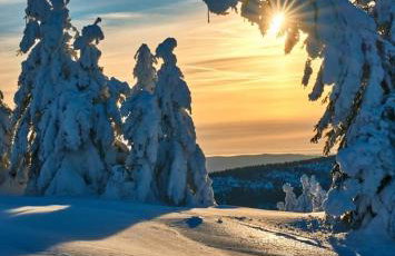 Agroturystyka,, Ranczo Kruszynki" - Foto 27