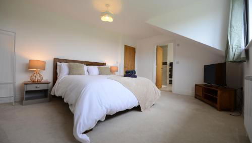 Rollestone New Forest (HOT TUB) - Photo 4