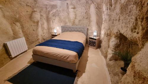 Troglo en bord de Loire, entre vignes et châteaux - Photo 5