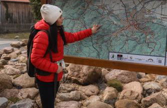 Waldbewohner Apartments / Hirsch - Foto 44