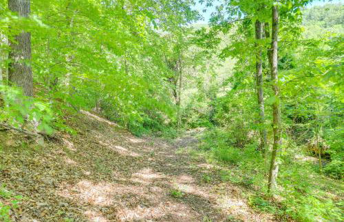 Mtn Views and Epic Sunsets Private Weaverville Home - Foto 37