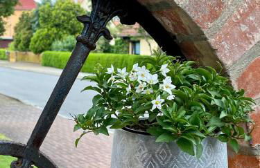 Appartement Sterne - Foto 20