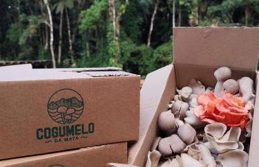 Cabanas - Sítio Refúgio do Barro Branco - Foto 24