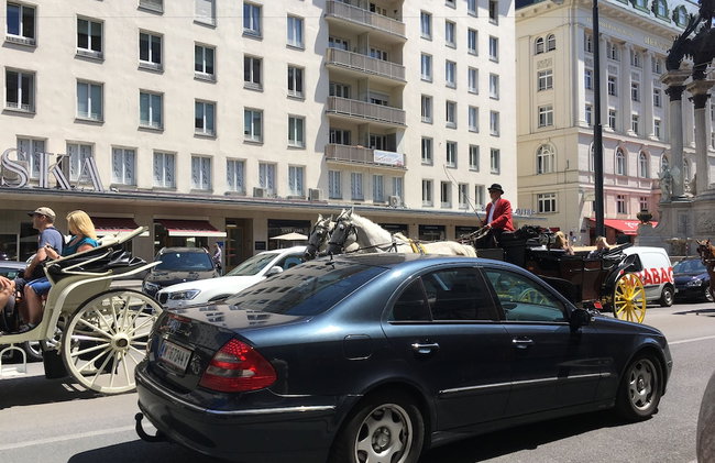 Heart of Vienna Homes - Photo 67