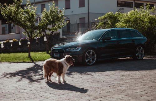 Cetinale Apartments - Foto 61