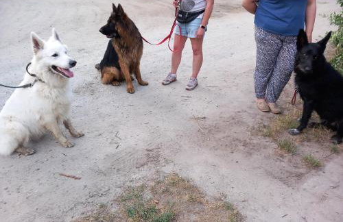 Różany Domek - Foto 27