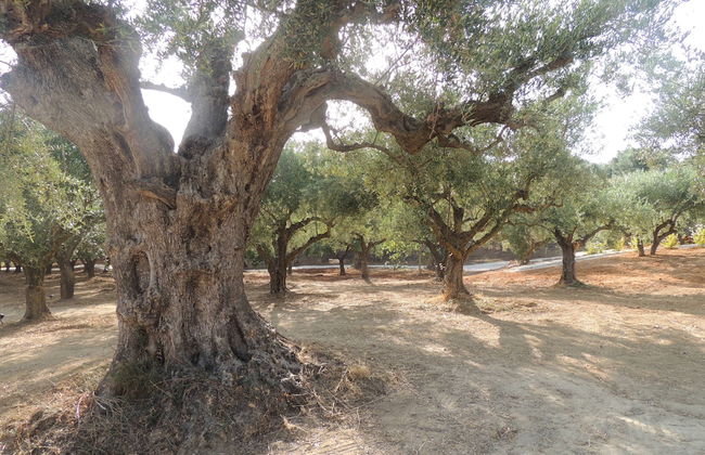 Captivating 5br Pool Villa Close Navarino Golf - Foto 33