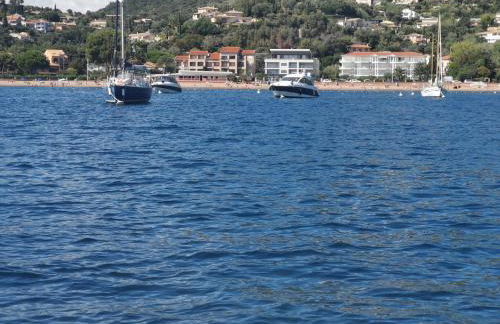 La baie d'Agay - Foto 8