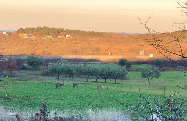 Room in Studio - Enchanting Escapade in Krsuli - Foto 8