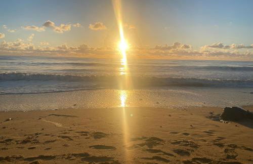 Studio en bord de mer, tous commerces animations - Foto 7