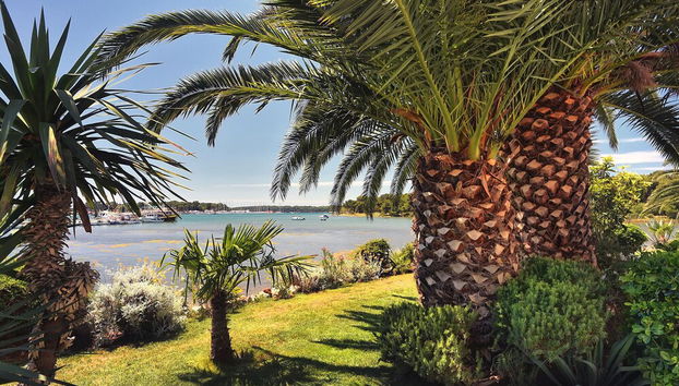 Cozy Studio Apartment Near the Sea - Foto 3, Piscina