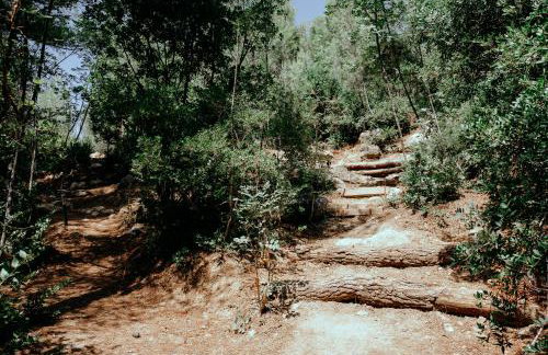 TreeHouses Ljubač Glamping Robinson - Foto 34