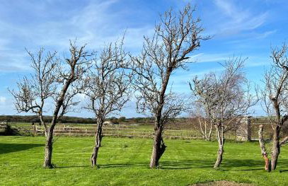 Colemans Retreat - Foto 20