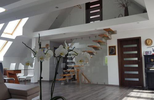 Apartamenty Holiday Slaw jacuzzi bilard - Foto 40