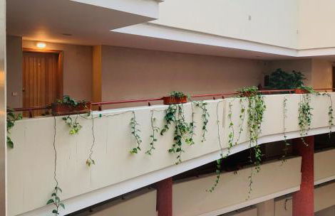 Pérola de Viana - Cabedelo - Foto 20