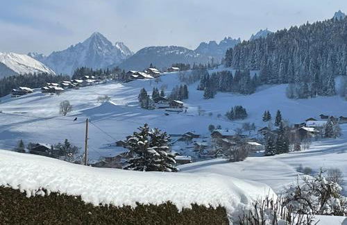 Megève - Chalet Miage - Foto 47