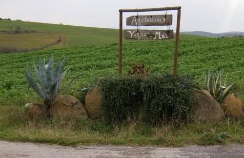 Agriturismo Vigna Mai - Foto 15