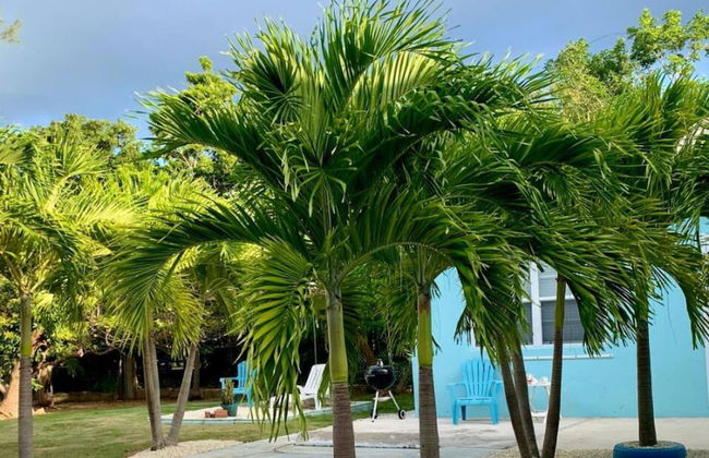 S1 BP Steps to Beach - Photo 38