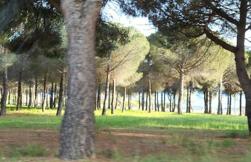 Appartement- étage villa - Villeneuve de la Raho - Foto 12