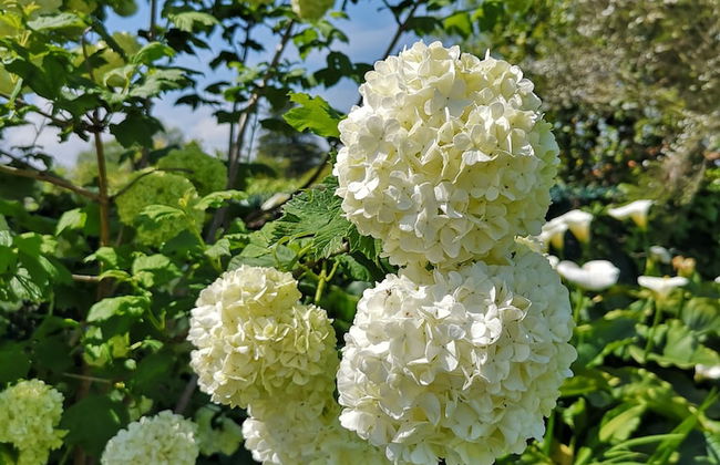 Apartamentos Rurales Villa de Saín - Foto 45