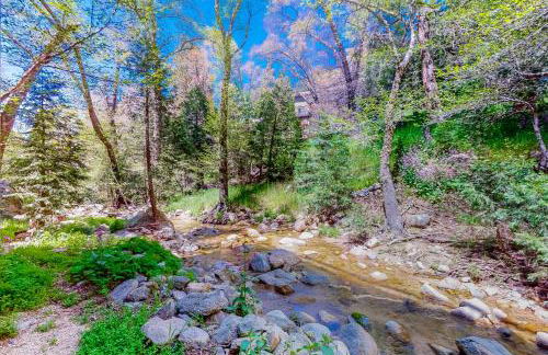 Creekside Cabin - Foto 23