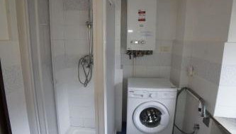 Stones and Pines - Foto 2