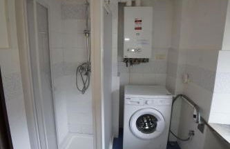 Stones and Pines - Foto 2