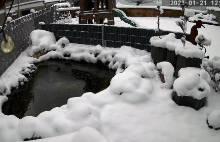 Ferienwohnung Otschik - Foto 40