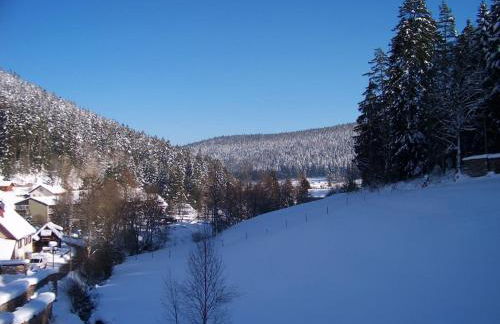 Black Forest House Zwink - Foto 37