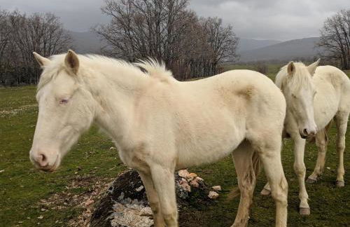 Casa Rural Fuente del Arca Montejo - Foto 26