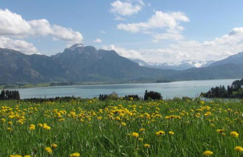 Ferienwohnung am Kurpark - Foto 22