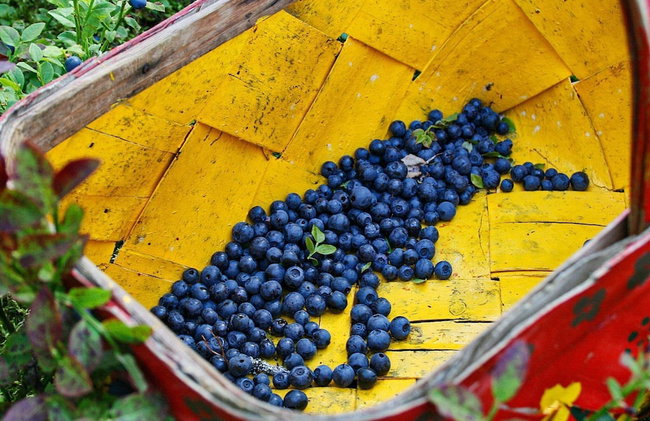 6 Person Holiday Home in Bollebygd-by Traum - Foto 15